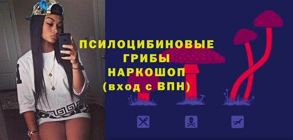 первитин Богородицк