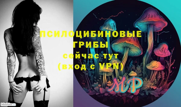 первитин Богородицк